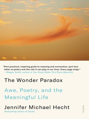 The Wonder Paradox - ebook